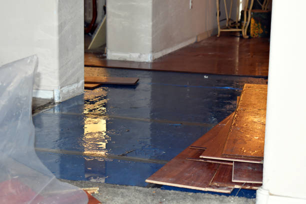 Professional Water Damage Restoration technician working in Ethan, SD